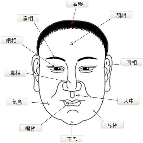 誌的面相|面相圖解